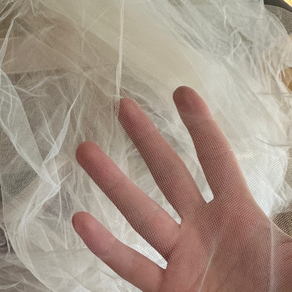 Champagne Simple Cathedral Veil - Twigs & Honey NWT - Picture 7 of 7